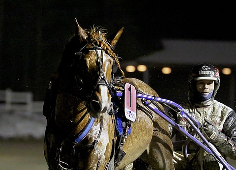 Välähdys on voittanut Kavioliigan toisen jakson molemmat osakilpailut.