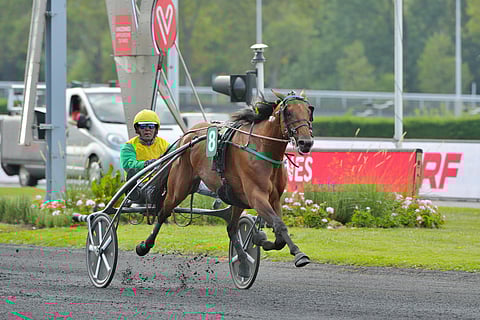 Face Time Bourbon palasi pikkutauolta voittokunnossa. Arkistokuva: Gerard Forni