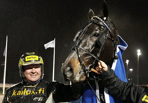 Juha Utalan suojatti Lightningsky vakuutti kirissään, joka vei sen voittajakuviin.