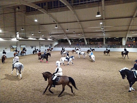 Jouluaattoaamuna Ruskeasuolla lumiukko ei ole pihalla, vaan satulassa ja maneesissa! Kun hevoset on liikutettu, ne saavat joulurauhan.