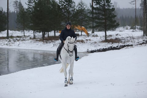Ingliston Wicker haudattiin uudenvuodenaattona MP Riding Centerin omille maille Renkoon.