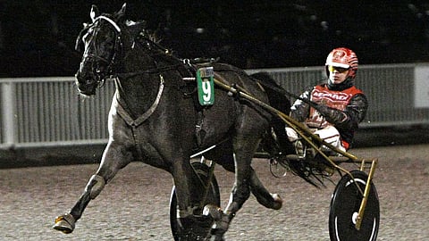 Arto Karvisen valmentama Ronaldo Malibu palasi parrasvaloihin sunnuntaina Seinäjoella. Kuva sen joulukuun 2019 Vermon voitosta.