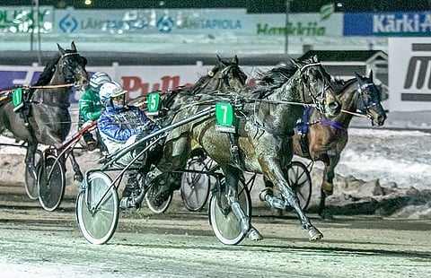 Petteri Joen valmennettavat rohmusivat kaksi voittoa sunnuntaina Rovaniemeltä. Callela Leonard (arkistokuvassa) oli paras avoimessa ryhmässä ja Peppe Roc voitti toisen Iceman Challenge -osakilpailun Santeri Oikaraisen ajamana.