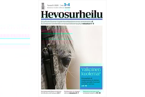 Yksi hevonen kymmenestä on kimo, ja vain kimo sairastuu kimosyöpään. Kannen kuva: Leena Alérini.