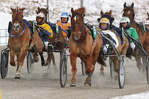 Myös ravien järjestäminen laitetaan jäihin koronaviruksen leviämisen estämiseksi.