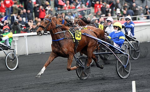 Belina Josselyn. Kuva: HU arkisto Gerard Forni