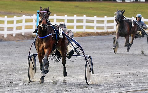 Vauhdikas BWT Danger on ideavihjeen toinen varma.