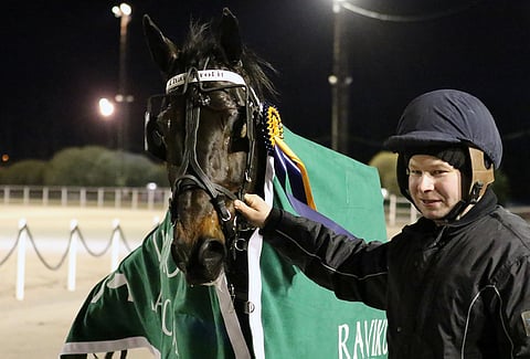 Nemea Harmony palasi kuvan Thai Profitin seuraksi Kimmo Aholan talliin toipumaan irtopalojen poisto-operaatiosta.