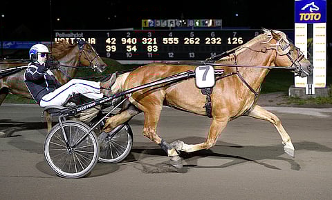 Heikki Mikkosen Tokumentti on ideavihjeen ensimmäinen varma.