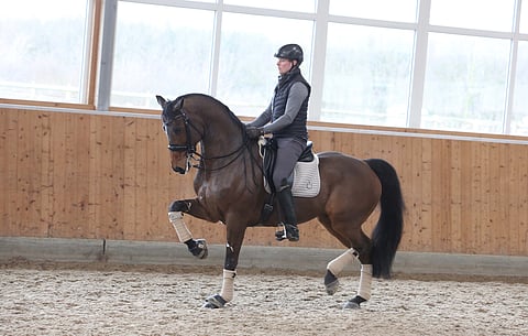 Henri Ruoste ja Kontestro.