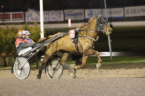 Vinksan pitkä tauko päättyy perjantaina.