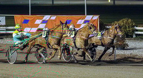 Teivossa järjestettiin Toto75-ravit tammikuussa.