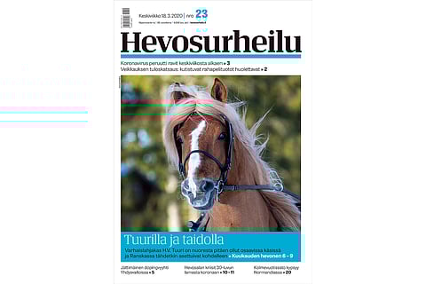 Kuvankaunis H.V. Tuuri on helmikuun Kuukauden hevonen. Kannen kuva: Anu Leppänen