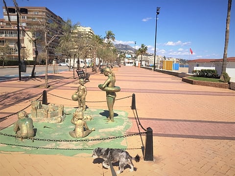 Sofi-koira ulkoilee tyhjällä kadulla.