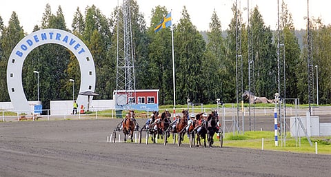 Voivatko suomalaiset hevoset käydä kilpailemassa Ruotsin raveissa?