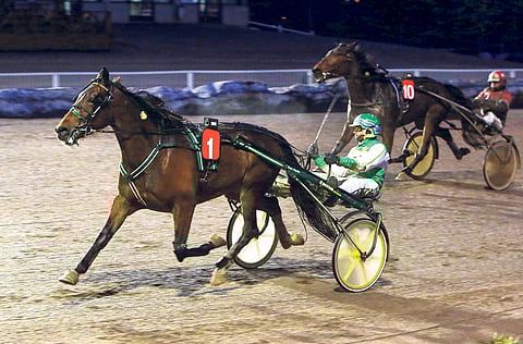 7-vuotias Knocking Match on juossut tällä kaudella 6 starttia totosijoin 3-2-0 ja tienannut 16 200 euroa. Sen piti startata T65-3:ssa Porissa, mutta nyt on edessä kesätauko.