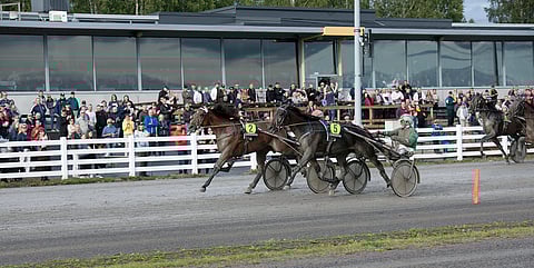 Raskolnikov Frido voitti tapahtuman jälkeen ajetuissa raveissa lämminveristen Oulu Express -finaalin ennen tallikaveri Sahara Peyotea.