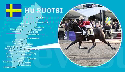 Sofia Adolfsson on hallinnut ruotsalaista montéa jo puoli vuosikymmentä.