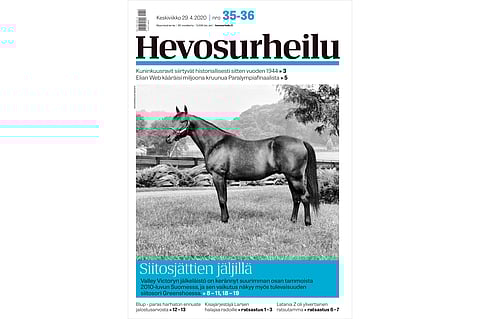 Hevosurheilun jalostusteemassa ollaan siitosjättien jäljillä. Kannen kuva: Ilkka Salokangas.