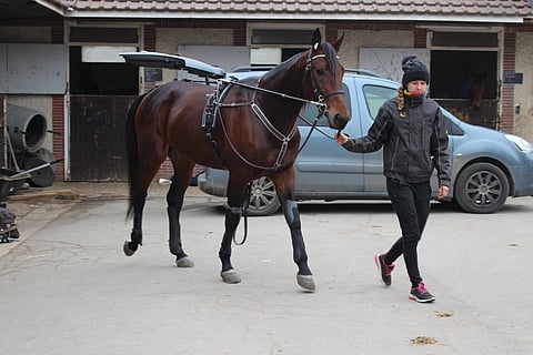 Ellinor Wennebring ja Propulsion Grosboisissa tammikuussa 2017. Kuva: Hanna Laakso