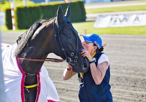 Earl Simon sai kiitokset hoitajaltaan Audrey Vieliltä hienosta voittojuoksustaan Elitloppetin karsintalähdössä. Kuva Anu Leppänen