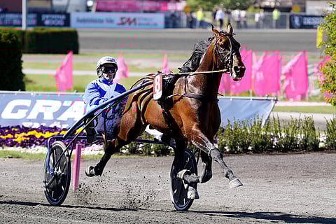 Ecurie D:n lennokasta menoa Solvallassa. Kuva: Anu Leppänen