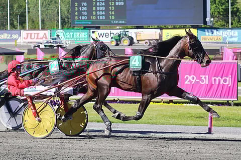 Hell Bent For Am voitti 3-vuotiaana Breeders Coursen.