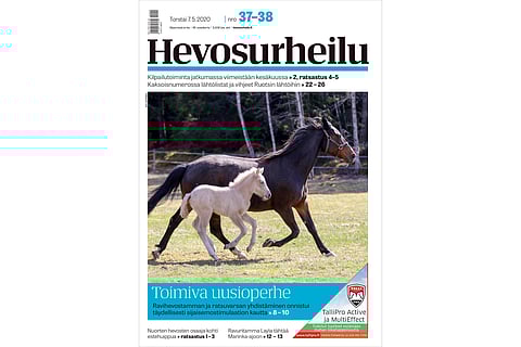 Ravuritamma adoptoi ratsuvarsan. Kannen kuva: Anu Leppänen.