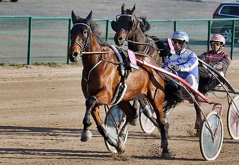 Minna Kankaan valmentama Malecon on rivin ainoa varma.