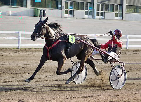 Tuomas Pakkanen ja She Is Cecilia juhlivat toukokuun loppupuolella Jyväskylässä. Tiistaina kaksikko onnistui Joensuussa.