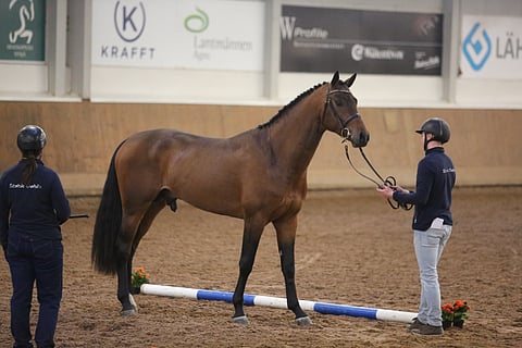 Las Vegas SC 3-vuotiaana, nyt se on viisi.