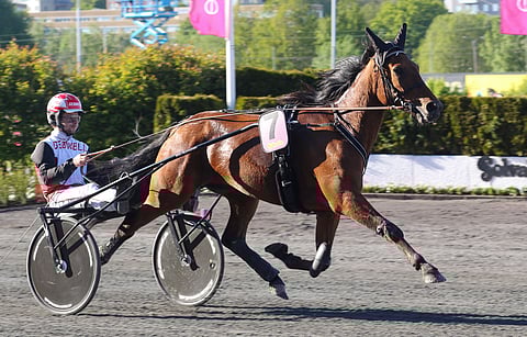 Better Boss voitti keväällä Ruotsissa 75-lähdönkin. Turnee päättyi Solvallan Elitloppet-viikonlopun finaaleihin.