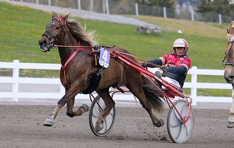 Tapio Perttusen Bilettäjä on mainio ideavarma helatorstain Toto5-peliin. Peliaika Kouvolan Toto5:een päättyy klo 17.10.