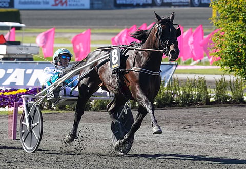 Don Fanucci Zet starttaa ykkösradalta.