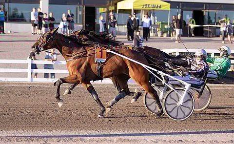 Dreambown ura päättyi Suur-Hollola-alkuerän voittoon. Kuva: Iita-Maria Ahtiainen.