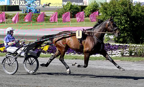 Elian Web juoksee kultadivisioonassa. Kuva. Anu Leppänen