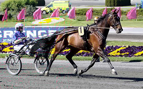 Elian Web. Kuva: Anu Leppänen