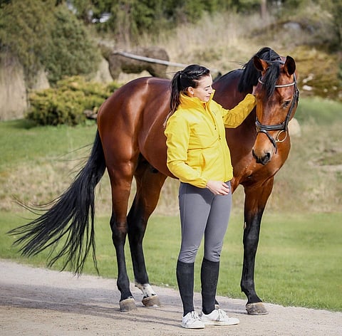 Hanna-Maria Korven Chanelex satutti Oripäivien alussa kavionsa, ja se saa nyt uuden yrityksen.