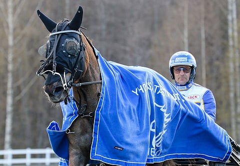 Minskaus voitti Joensuussa myös viime kesänä. Silloin tamman rattailla nähtiin Esa Holopainen.