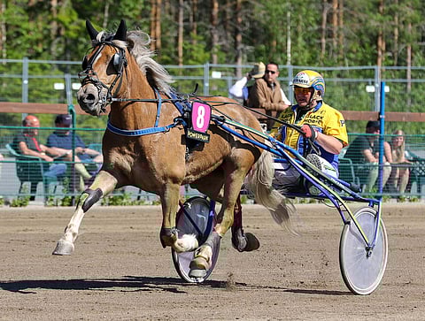 Jaksava Naputus jyrää ravilla voittotaistoon.