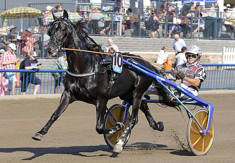 Myyntihuhut vievät Chief Orlandoa Italiaan, mutta hevonen on vielä tiukasti Suomessa ja Haminan Neuvottomassa.