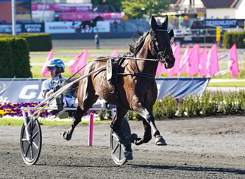 Lutfi Kolgjini on ja pysyy Propulsionin ihailijana. (Kuva: HU arkisto/Anu Leppänen)
