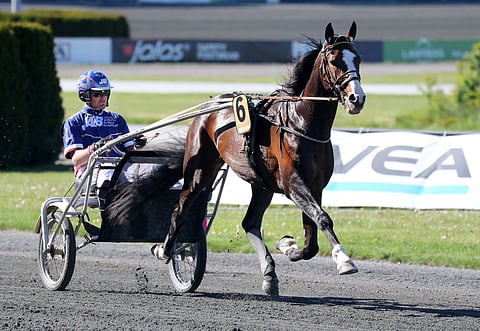 Racing Mange. Kuva: Anu Leppänen