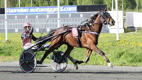 Kuopio Stakesin karsintavoittaja ja finaalin kakkonen Racing Boy muutti Vermoon.