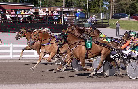 Rokin Maxi paransi 13-vuotiaana tasoitusennätystään peräti 2,1 sekuntia. Pitkään johtanut Hetviina ja ulkoa kirinyt Tähen Toivomus tulivat maaliin samassa rintamassa.