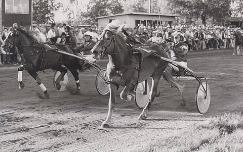 Tähti-Ajatus ja Raineri Puikkonen pitivät Pekka Roihan Vermin kurissa Tuusulan radan viimeisten ravien suomenhevosten ykkössarjassa.