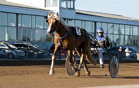 Kujanpään Jyräys on parhaimmillaan todella vauhdikas tapaus.