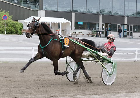 Santtu Raitalan ohjastama T.Rex sijoittui viidenneksi viime viikonloppuna ravatussa Killerin Eliitissä.