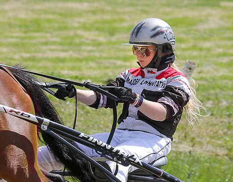 Veera Vekolan Frozen A.F. on ideavihjeen toinen varma Skyfall Shinen lisäksi.