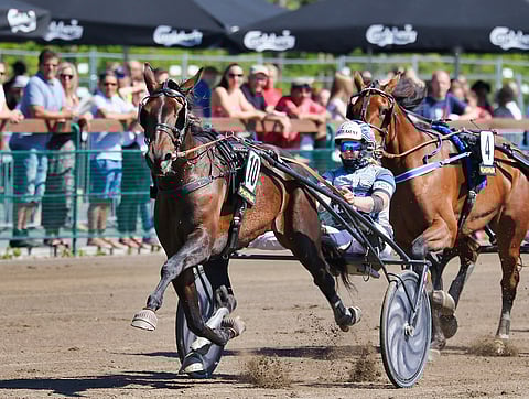Venerdi ja Jutta Ihalainen olivat etevimmät Härmän Powerparkin Toto75:n avauskohteessa juhannuksena. Kuva Anu Leppänen.
